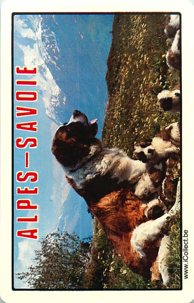 Single Swap Playing Cards Country Alpes - Savoie (PS15-04H)