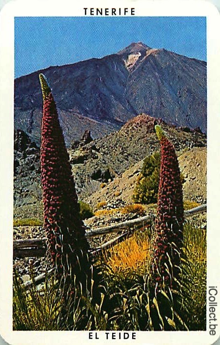 Single Playing Cards Country Spain Tenerife (PS17-06E)