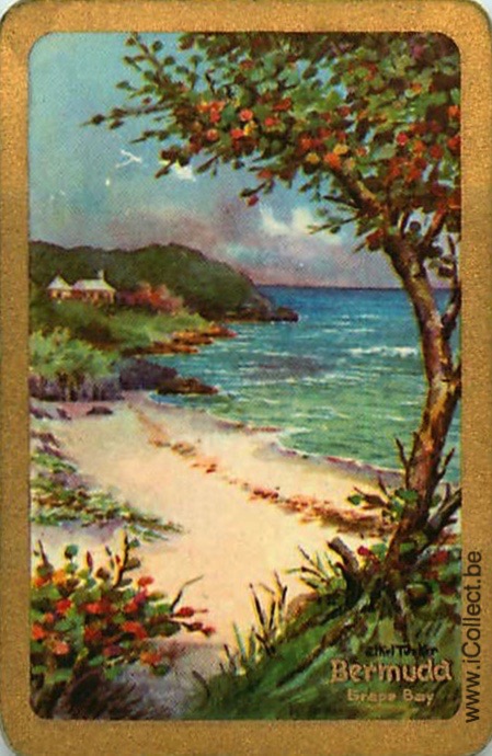 Single Swap Playing Cards Country Bermuda Grape Bay (PS18-15D) - Click Image to Close