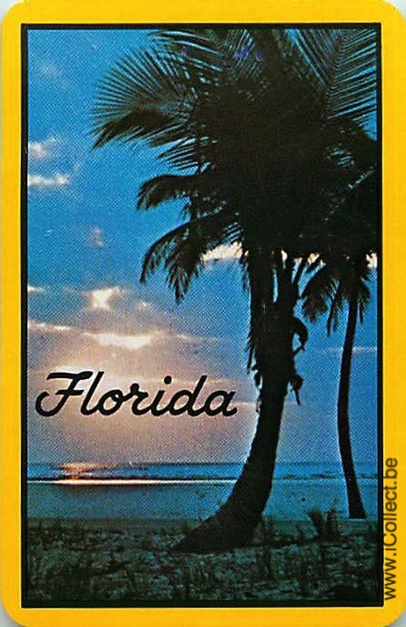 Single Swap Playing Cards Country USA Florida (PS17-50I)