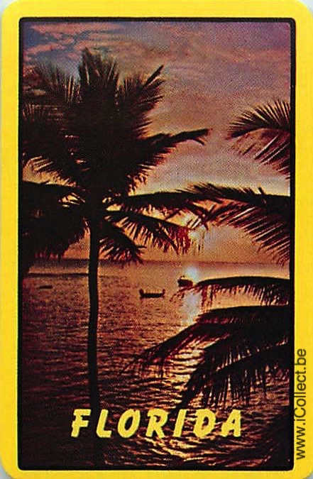Single Swap Playing Cards Country USA Florida (PS17-51A) - Click Image to Close
