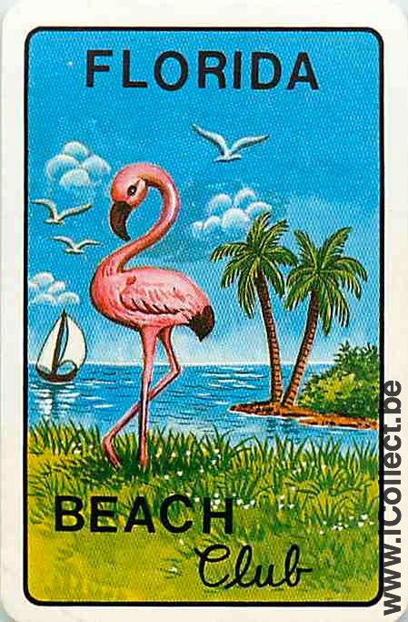 Single Swap Playing Cards Country USA Florida Beach (PS16-11F)