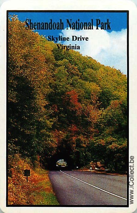 Single Swap Playing Cards Country USA Virginia (PS18-05D)