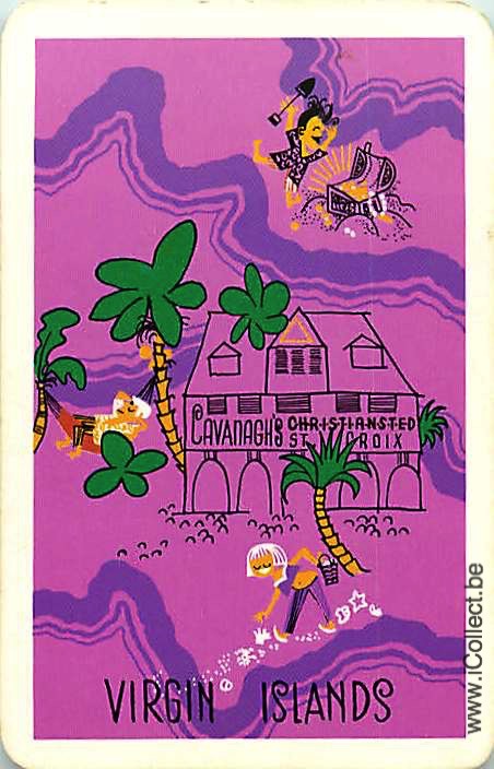 Single Swap Playing Cards Country USA Virginia Islands (PS18-18D