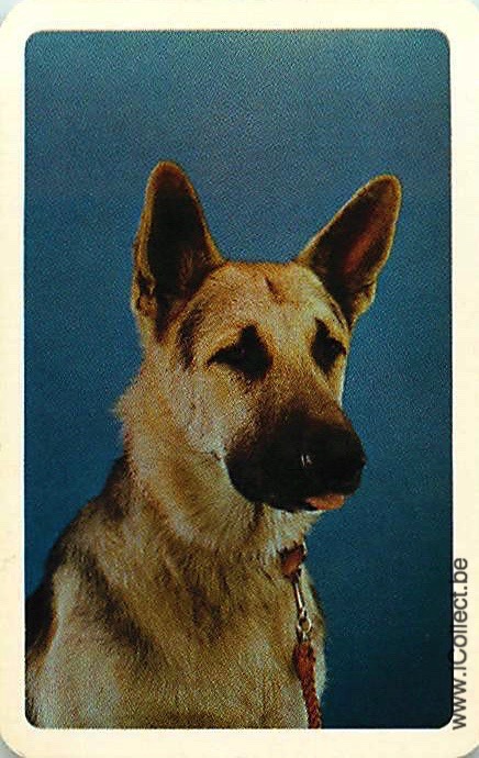 Single Swap Playing Cards Dog German Shepherds (PS21-42I)