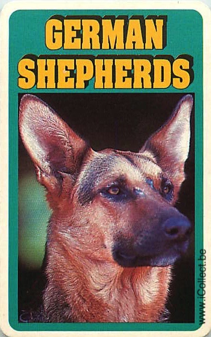 Single Swap Playing Cards Dog German Shepherds (PS21-43A)