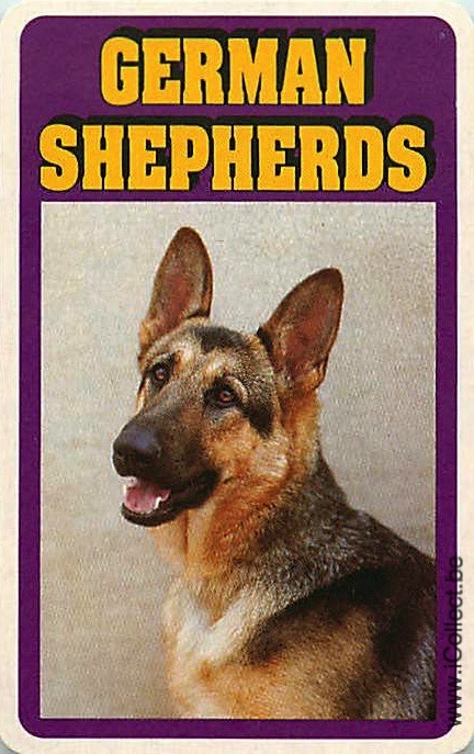 Single Swap Playing Cards Dog German Shepherds (PS21-43B)