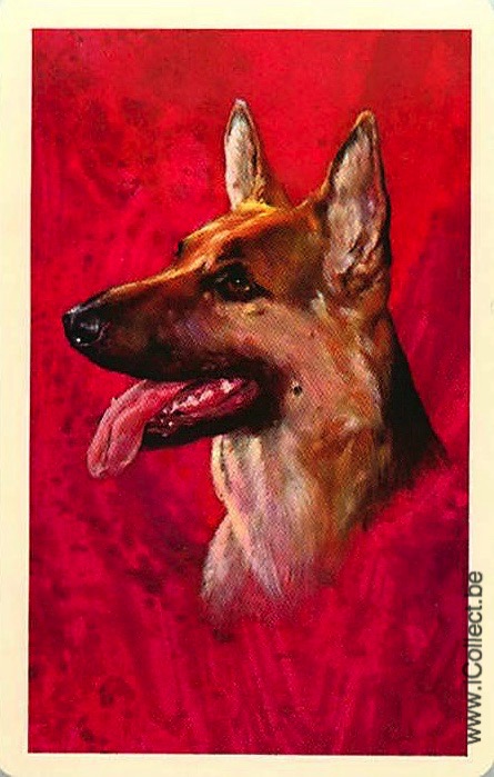 Single Swap Playing Cards Dog German Shepherds (PS21-43C)