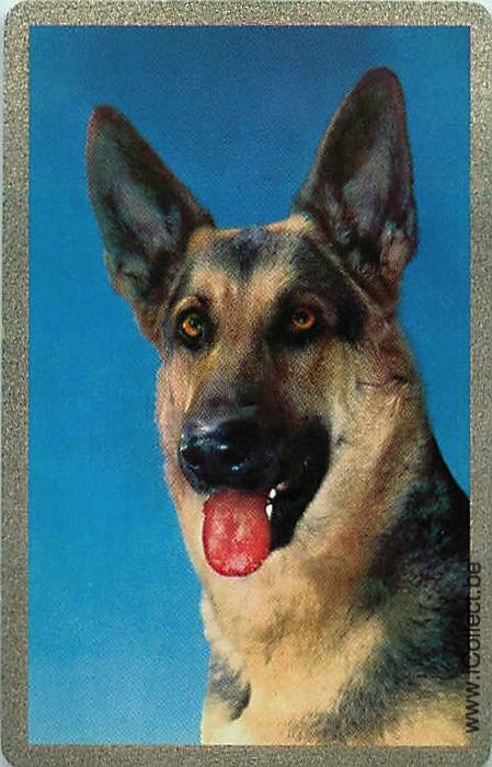 Single Swap Playing Cards Dog German Shepherds (PS21-43F)
