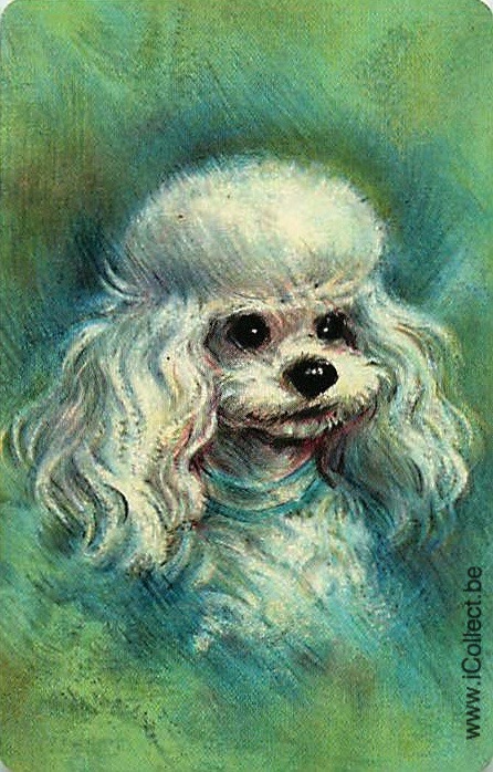 Single Swap Playing Cards Dog Poodle (PS21-44D) - Click Image to Close