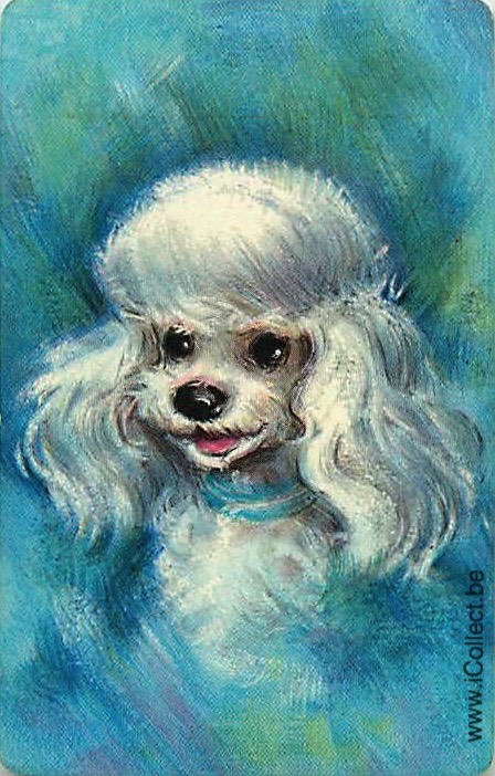 Single Swap Playing Cards Dog Poodle (PS21-44E)
