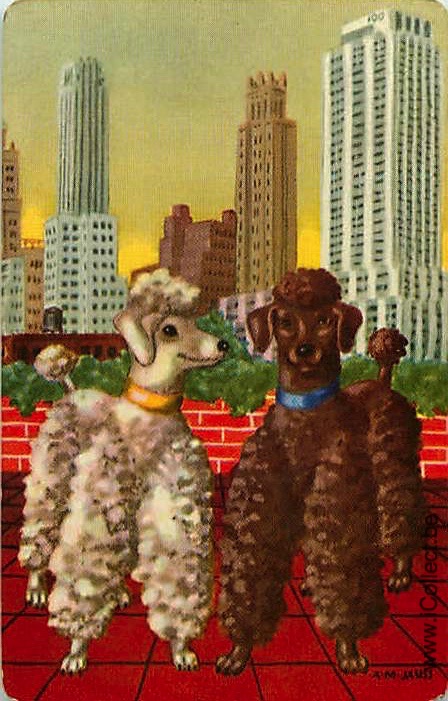 Single Swap Playing Cards Dog Poodles (PS21-44H)