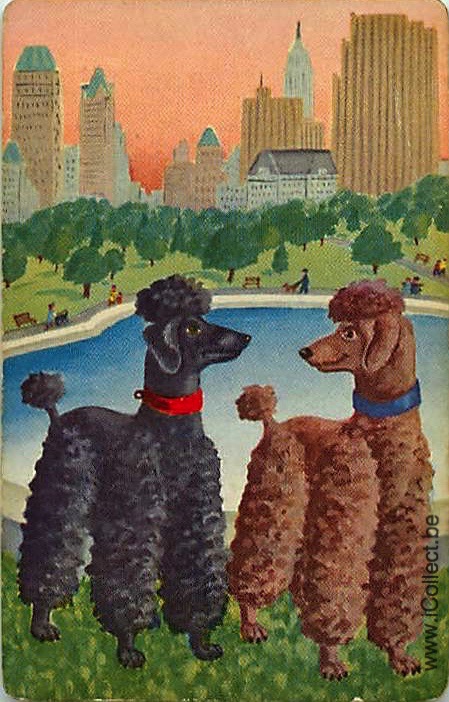 Single Swap Playing Cards Dog Poodles (PS21-44I)