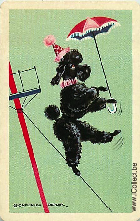 Single Swap Playing Cards Dog Poodle Circus (PS21-45A)