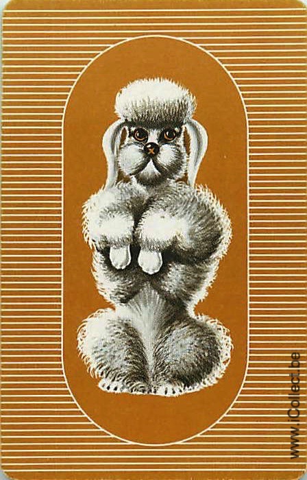 Single Swap Playing Cards Dog Poodle (PS21-45C)