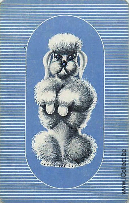 Single Swap Playing Cards Dog Poodle (PS21-45D)