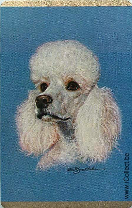 Single Swap Playing Cards Dog Poodle (PS21-46D)