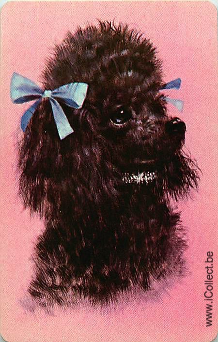 Single Swap Playing Cards Dog Poodle (PS21-46E)