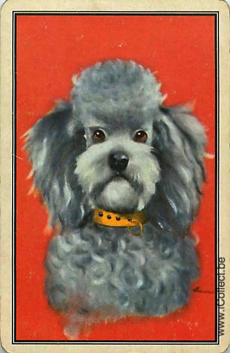 Single Swap Playing Cards Dog Poodle (PS21-46G)