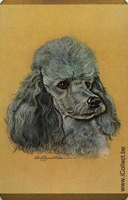 Single Swap Playing Cards Dog Poodle (PS21-47A)