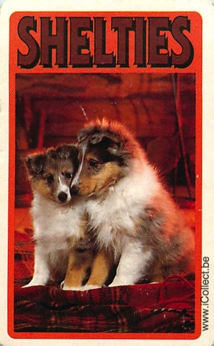 Single Swap Playing Cards Dog Shelties (PS21-47F)