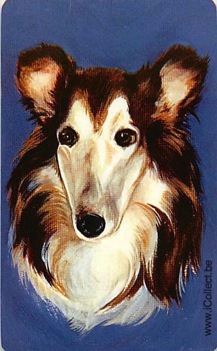 Single Swap Playing Cards Dog Shelties (PS21-47G)