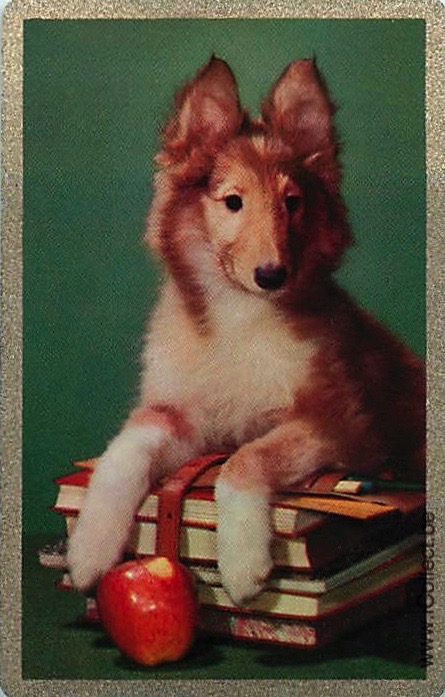 Single Swap Playing Cards Dog Shelties (PS21-47I)