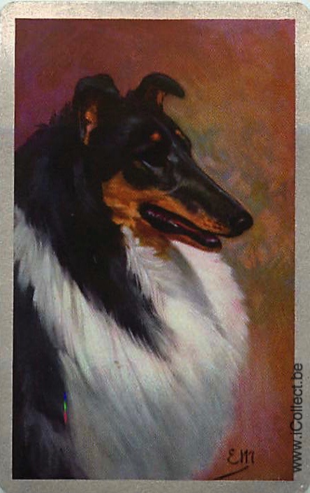 Single Swap Playing Cards Dog Shelties (PS21-48C)