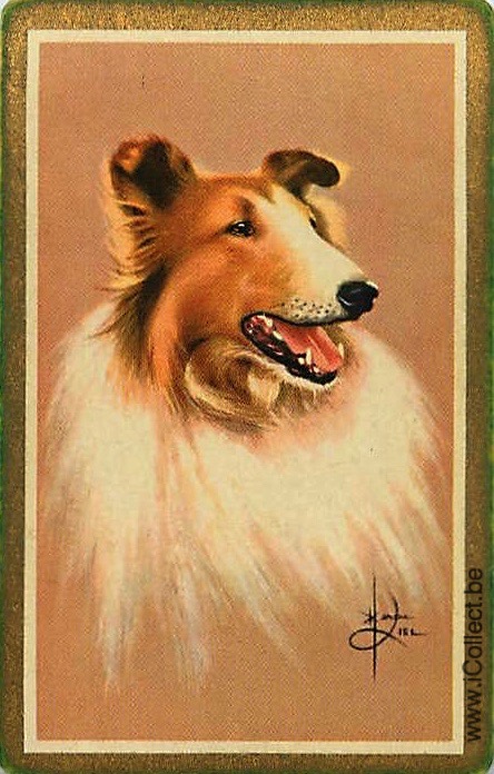 Single Swap Playing Cards Dog Shelties (PS21-48G)