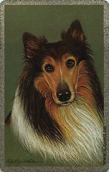 Single Swap Playing Cards Dog Shelties (PS21-48H)