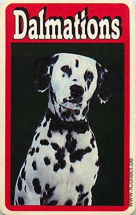 Single Swap Playing Cards Dog Dalmation (PS21-49A)