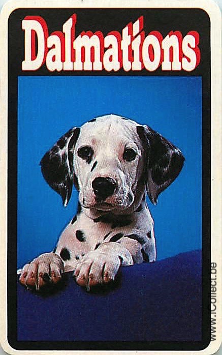 Single Swap Playing Cards Dog Dalmation (PS21-49C)