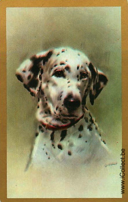 Single Swap Playing Cards Dog Dalmation (PS21-50A)