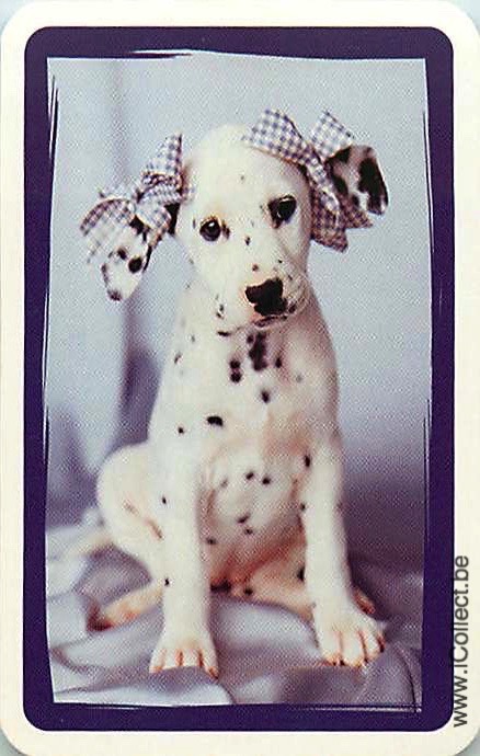 Single Swap Playing Cards Dog Dalmation (PS21-50C)