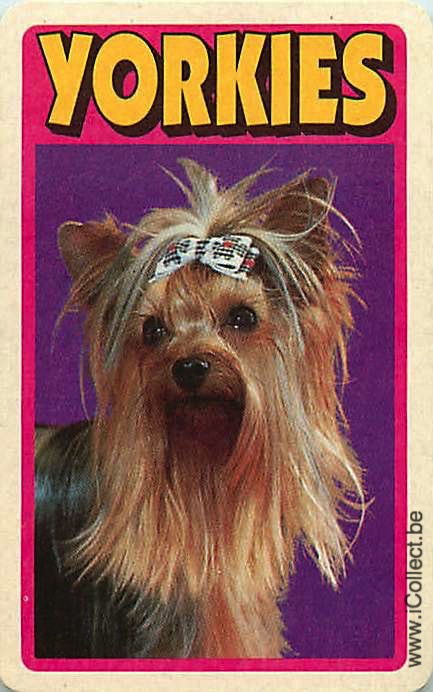 Single Swap Playing Cards Dog Yorkies (PS21-50E)