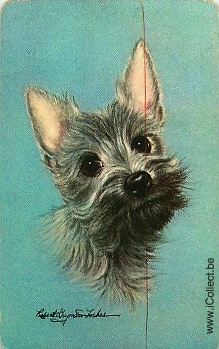 Single Swap Playing Cards Dog Yorkies (PS21-50H)