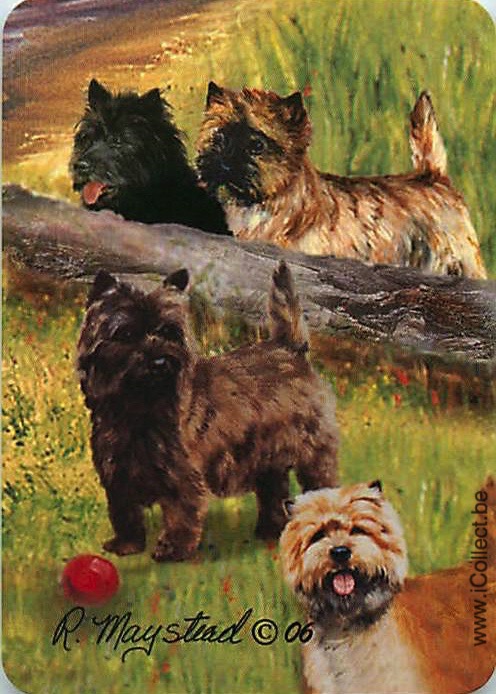 Single Swap Playing Cards Dog Yorkies (PS21-52D)