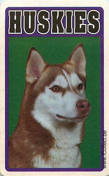Single Swap Playing Cards Dog Huskies (PS21-52E)