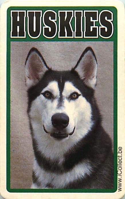 Single Swap Playing Cards Dog Huskies (PS21-52F)