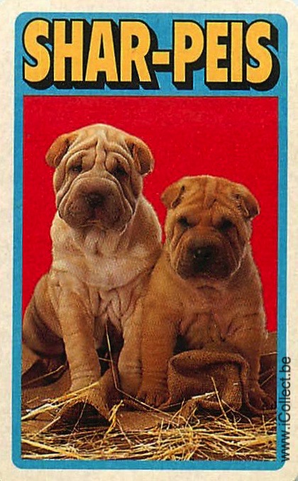 Single Swap Playing Cards Dog Shar-Peis (PS21-53D)