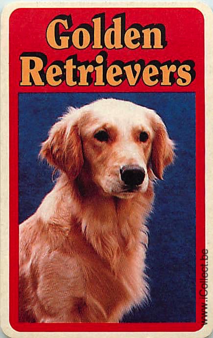 Single Swap Playing Cards Dog Golden Retrievers (PS12-13C)