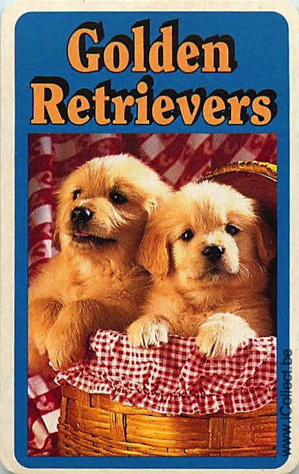 Single Swap Playing Cards Dog Golden Retrievers (PS12-25C)