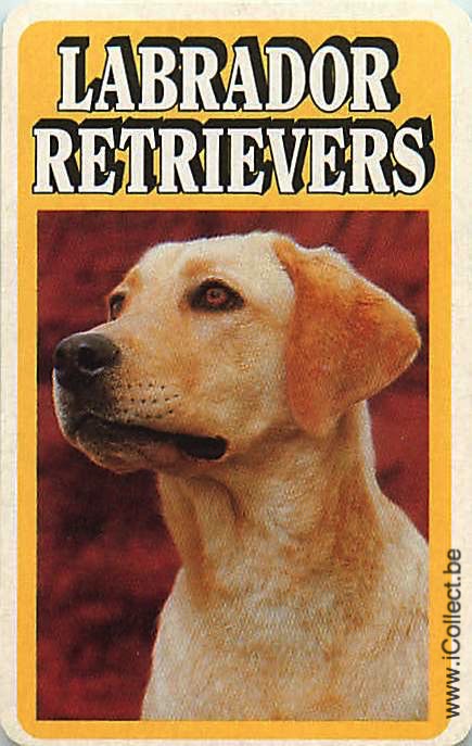 Single Swap Playing Cards Dog Labrador Retrivers (PS12-25D)