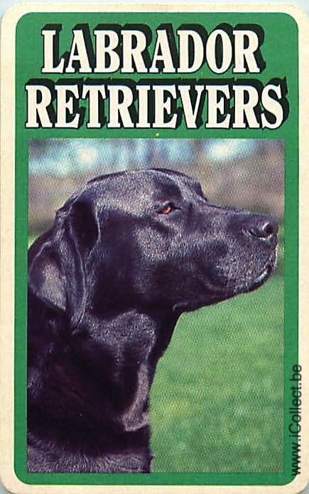 Single Swap Playing Cards Dog Labrador Retrivers (PS12-25E)