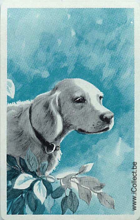 Single Swap Playing Cards Dog Labrador Retrivers (PS12-27D)