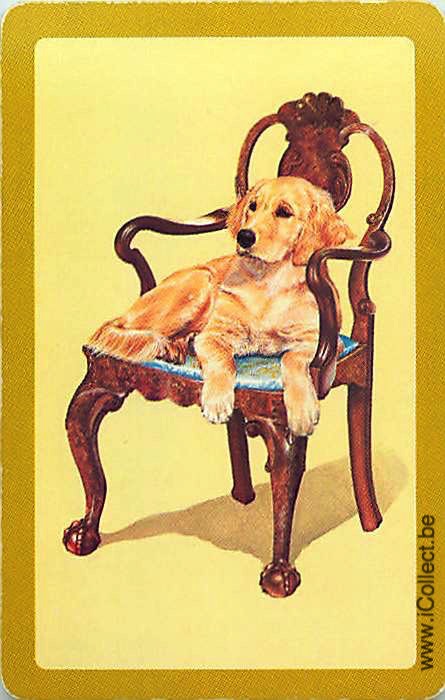 Single Swap Playing Cards Dog Labrador Retrivers (PS12-35G)