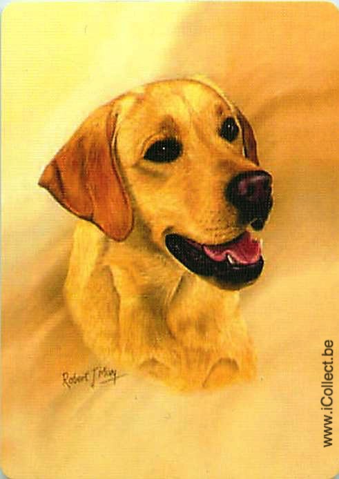 Single Swap Playing Cards Dog Labrador Retrivers (PS12-45A) - Click Image to Close
