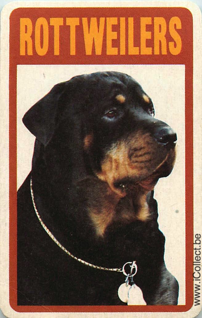 Single Swap Playing Cards Dog Rottweiler (PS09-04D)