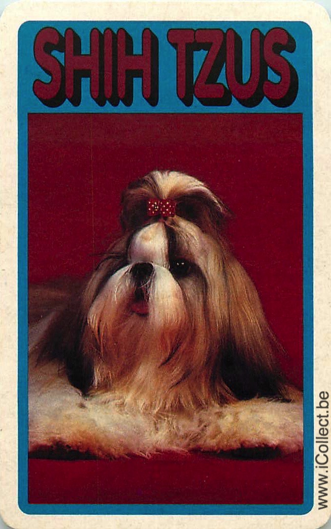 Single Swap Playing Cards Dog Shih Tzus (PS09-31E)