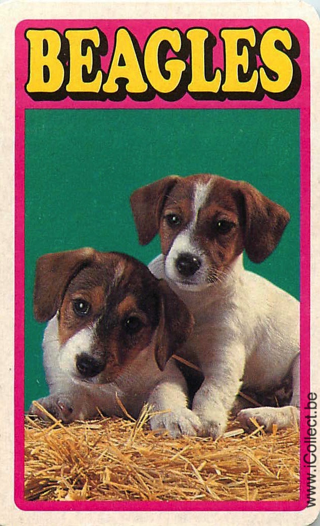 Single Swap Playing Cards Dog Beagles (PS09-51H)